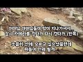 석성산 등산 짧고 굵게 해보기 아우디 아줌마들의 우정 디질때까지편