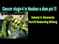 Cancer stage-4 in Nauban a dam pui !!! Subedar H.Remmawia Part-82 Madanrting Shillong.