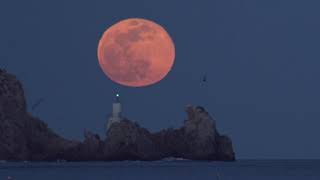 Moonrise astrophotography with 1000 seagulls in beautiful seascape and modified Sony A7 S2 4K ultra