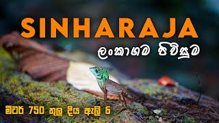 සිංහරාජ ලංකාගම පිවිසුම - Sinharaja Rainforest, Lankagama Entrance