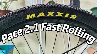 Maxxis pace 2.1| Fast rolling maxxis tire for mountain bike