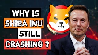 SHIBA INU ITS NOT OVER! (MAJOR CRASH EXPLAINED!) ALL SHIBA INU HOLDERS MUST SEE THIS!