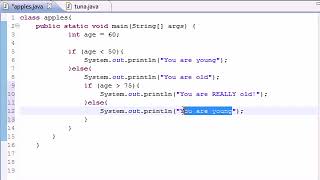 Java Programming Tutorial 19 (else if Statement - YouTube)