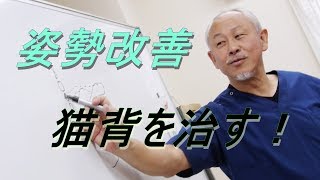 【背骨　歪み　治す】【猫背　矯正　ストレッチ】【介護予防体操】【腰痛」姿勢】　【姿勢名人井本尚光】