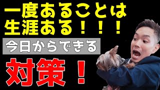 ケージからの脱走を予防する３つの対策