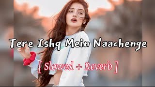 Tere Ishq Mein Naachenge ( slowed + reverb ) | hindi song slowed reverb | lofi songs hindi #lofi