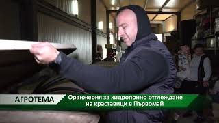 Агротема: Оранжерия за хидропонно отглеждане на краставици в Първомай