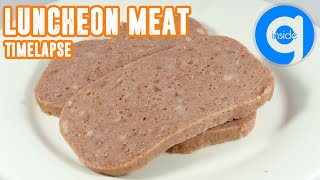 Luncheon Meat Timelapse -  Rotting Food Timelapse
