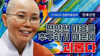 2021.06.25 [청혜선원] 온라인 가행정진 제1차_첫째 날 \