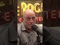 WEX MIN: Election betting shows Trump 67%, JD Vance on Joe Rogan, Trump asks- Hispanic or Latino?