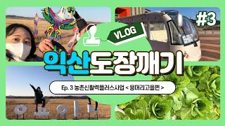 VLOG 익산 도장깨기 3회차 농촌신활력플러스사업시골여행