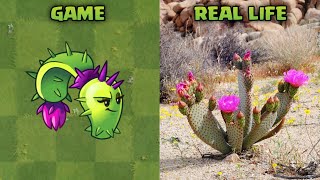 Tanaman Dari Game Plants vs Zombies 2, Versi di Dunia Nyata