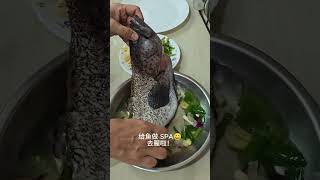 利用新鲜海鱼片做清蒸#清蒸鱼片#超级简单#幸福料理