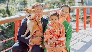 柴犬と一緒に娘の七五三をお祝いしました｜犬と子供のvlog