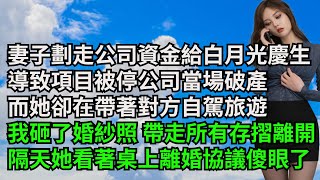 妻子劃走公司資金給白月光慶生，導致項目被停公司當場破產，而她卻在帶著對方自駕旅遊，我砸了婚紗照帶走所有存摺離開，隔天她看著行李上的離婚協議傻眼了【三味時光】#激情故事#大彬情感#夢雅故事#小說#爽文