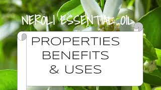 Neroli Essential Oil - Benefits \u0026 Uses