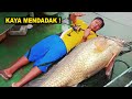 Mancing Dapat Ikan Besar Nelayan ini Kaya Mendadak – 5 Bagian Tubuh Ikan Termahal Di Dunia