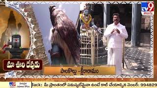 Devaragam | మా ఊరి దేవుడు || Ksheera RamaLingeswara Swamy Temple | Palakollu   - TV9