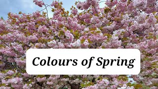 Colours of Spring/ A beautiful April 2022