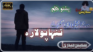 Pashto New Nazam 2023||پشتو نوی ترانہ ||مہ خو خپل زان گنڑلے تہ پریخوم تنہا پو لارہ||سدیس حیدری