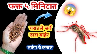 न केमिकल न कीटनाशक घरगुती पद्धतीने घालवा मच्छर😱 kitchen tips / mosquito killer / machar bhagane ka