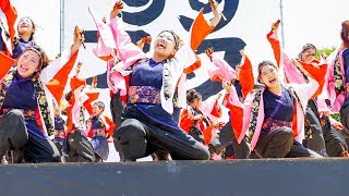 [4K]極津　第20回すずかフェスティバル 2日目 弁天山公園会場