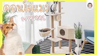 รีวิว ประกอบคอนโดแมว รุ่น YFC005 | kingkong petshop |