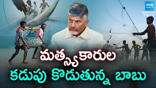 చంద్రబాబు ప్రభుత్వంలో సమస్యలు ఎదుర్కొంటున్న మత్స్యకారుల కుటుంబాలు | GO నం.217 | సాక్షి టీవీ