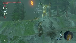 Moblin Throws Bokoblin off Cliff