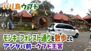 バリ島ウブド・モンキーフォレスト通りを散歩（後編）/I took walk Monky Forest Street Vol.2