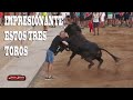 IMPRESIONANTES LOS TRES TOROS