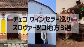 【チェコ・モラビア地方】ワインセラー巡り　スロヴァーツコ地方編