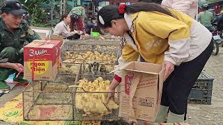 Giang and her grandmother continue to buy more chickens and ducks to increase their income.