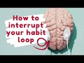 Interrupt Your Habit Loop: The Binge Purge Rollercoaster