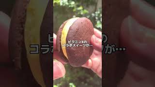 【ファミマ新作スイーツ】ピクミン4コラボ カワスペールのチョコブラウニーサンド（バナナクリーム）#コンビニスイーツ #ファミマ #ピクミン4 #ピクミン