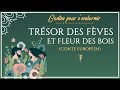 Trésor des fèves et Fleur des bois | Conte pour dormir | histoires du XIXs