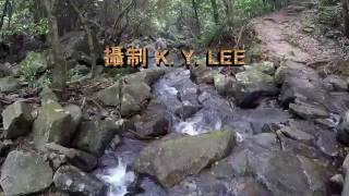 恆康香港100高峰系列 24.5.2016夏日登三峯禾塘崗 妙高台 禾秧山