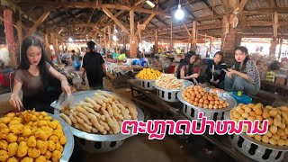 ທ່ຽວຈຸດສຸມປ່າໜາມ ຊື້ເຂົ້າໜົມນຳສາວຜູ້ໄທ ●● ตลาดป่าหนาม, เมืองมะหาไช ชื้อข้าวหนมกับสาวภูไท