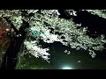 福島県喜多方市塩川町　御殿場公園『夜桜』空撮sony rx100