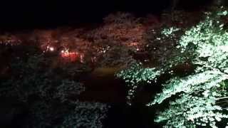 福島県喜多方市塩川町　御殿場公園『夜桜』空撮SONY RX100