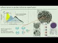 Emory Cardiology Grand Rounds 12-04-2017