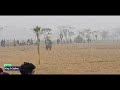 ফাইনাল ঘোড়দৌড় প্রতিযোগিতা আন্দরাজ ঘোড়া horse video horse viral video bangladesh horse race