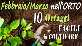 FEBBRAIO / MARZO nell'ORTO | 10 ortaggi FACILI da seminare, trapiantare, coltivare