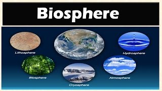 Biosphere