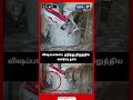 விஷப்பாம்பை  தடுத்து நிறுத்திய  வளர்ப்பு நாய் | #cobra | #dog | #shortsviral |#cuddalore