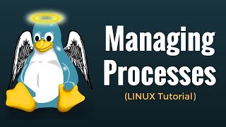 Process Management Commands (fg, bg, top, ps, kill, nice, renice, df, free) Linux Tutorial