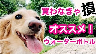 犬のウォーターボトル おすすめ！買わなきゃ損！