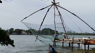 Chinese Fish Net Fishing, Fort Kochi. சீன மீன்பிடிவலை மீன் பிடித்தல் चीनी मछली जाल से मछली पकड़ना