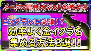 【ビッグランで必須！？】サーモンランで効率よく金イクラを集める方法3選【スプラ3】