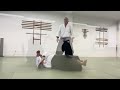 aikido tsuki ikkyo with greg angus sensei two variations